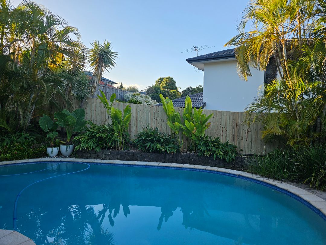Timber pool fencing built by Synergy Fencing for a Brisbane home
