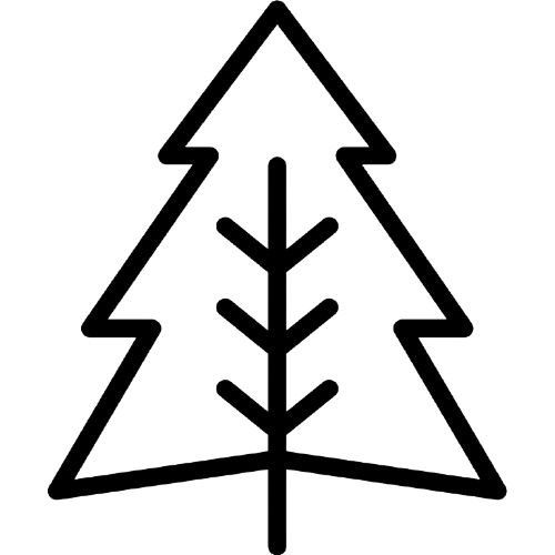 Black outline of a simple pine tree with a central trunk and symmetrical branches.