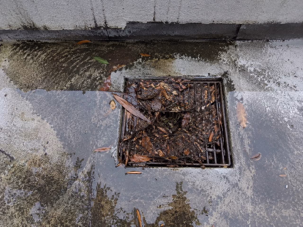 Drainage blocked by heavy amounts of organics