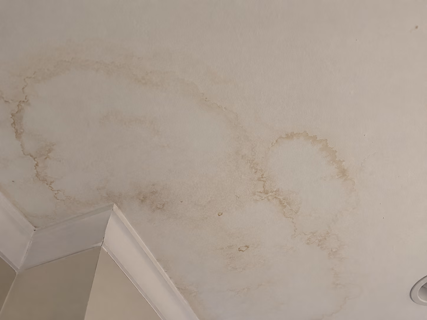 Water stains on ceiling showing signs of water ingress