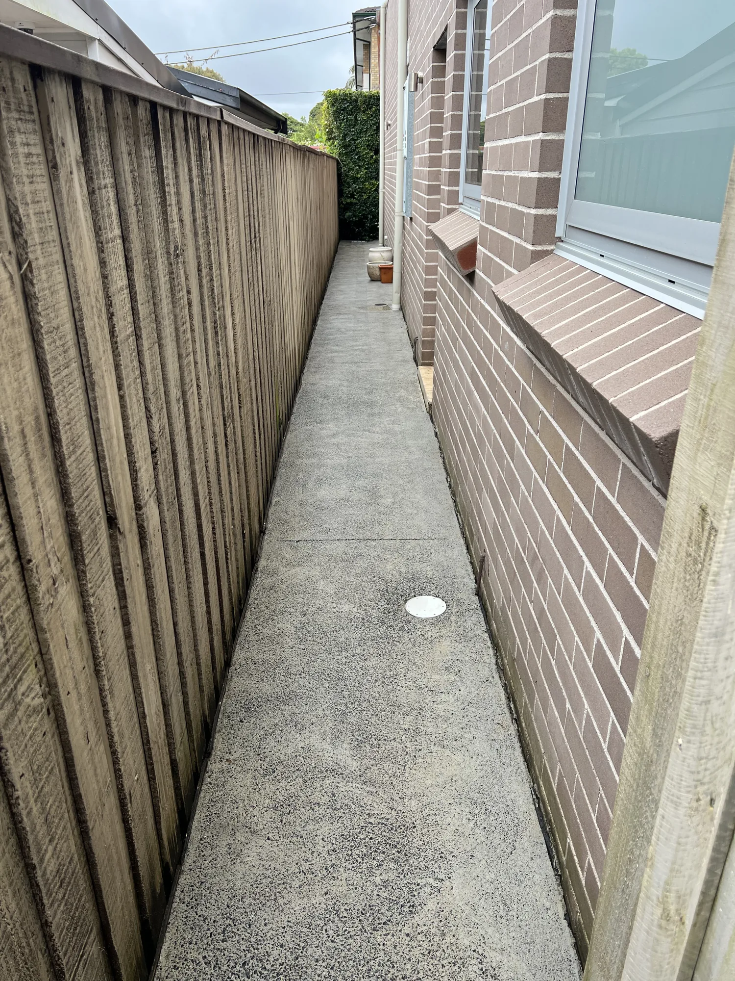 Concrete side path cleaned of algae and debris after pressure washing, Sydney