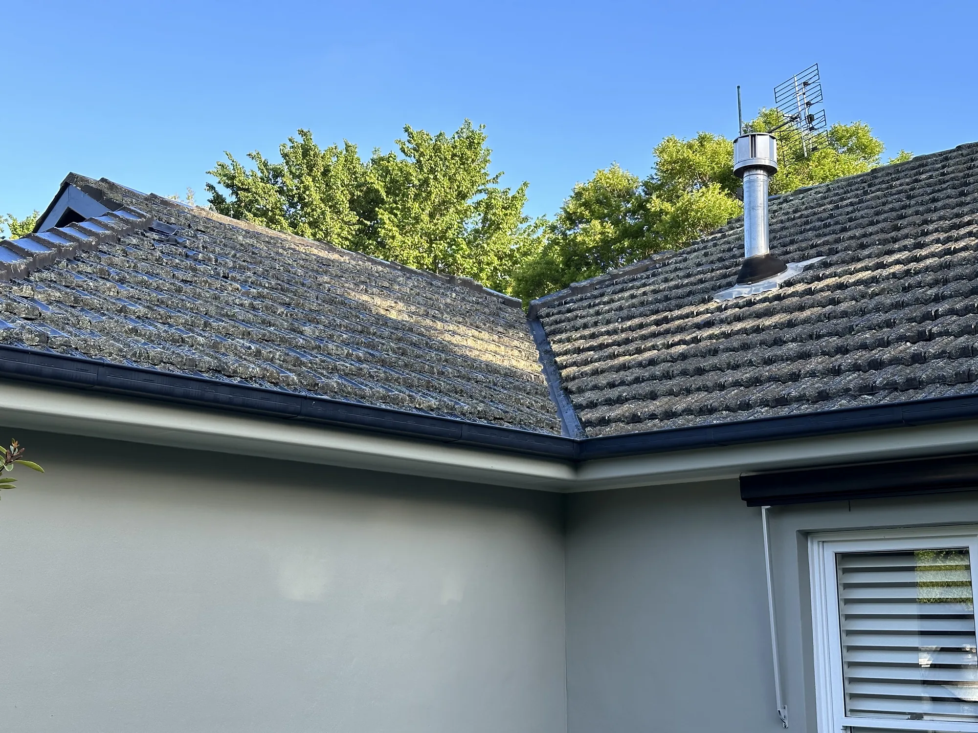 Glazed-tiled roof heavily colonised by lichen and moss before pressure washing