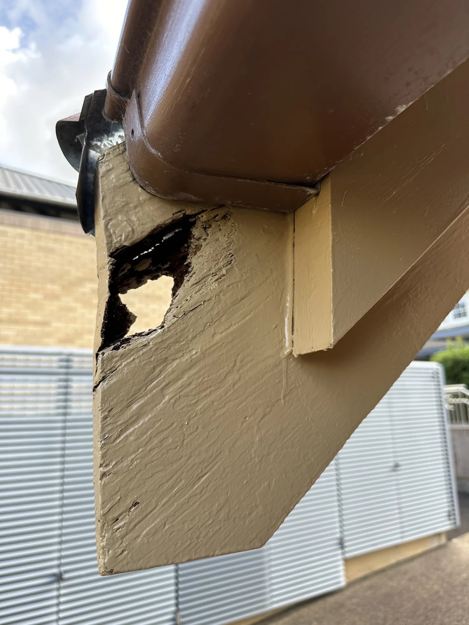 Timber fascia board with rot hole and failed paint before remedial repair