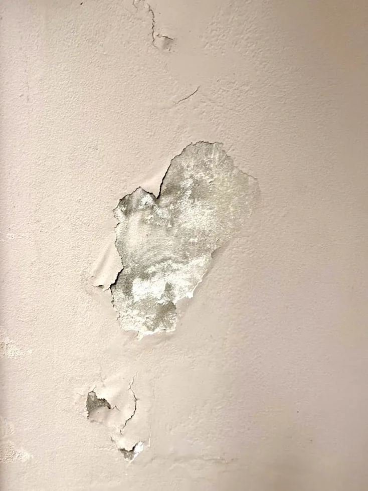 Painted wall with paint blistered and peeled away exposing patchy substrate beneath