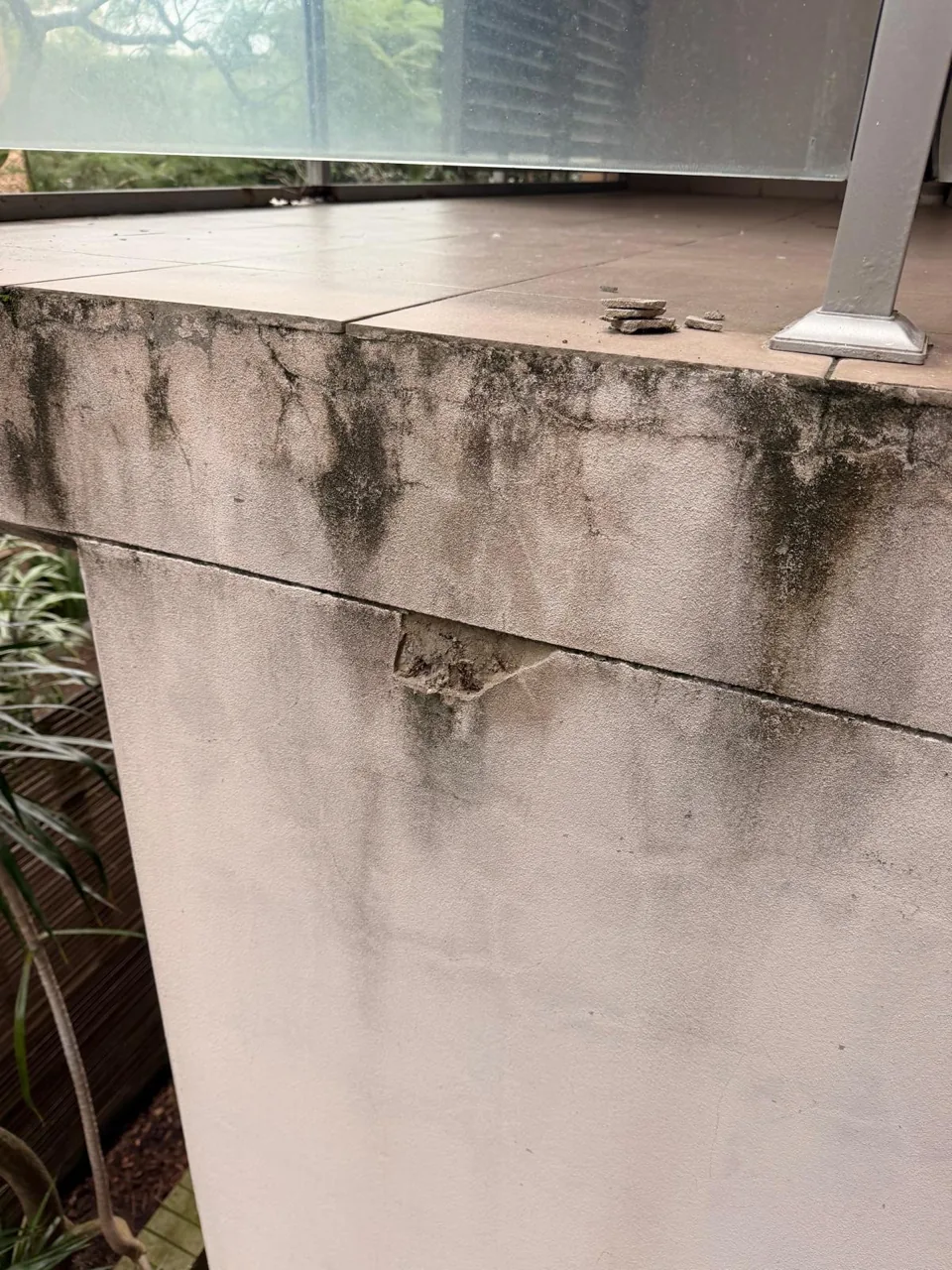 Dark biological growth streaking down a rendered wall below a balcony with minor spalling