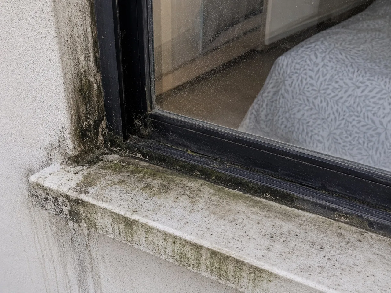 Black and green biological growth colonising a window sill, reveal and frame