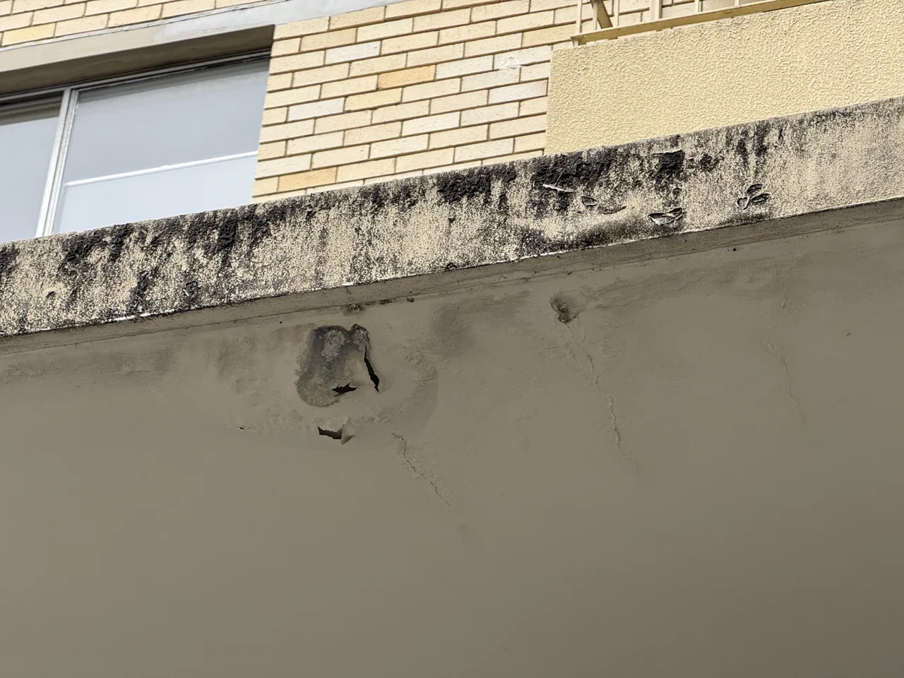Rendered parapet underside with biological staining and a section of render spalled away