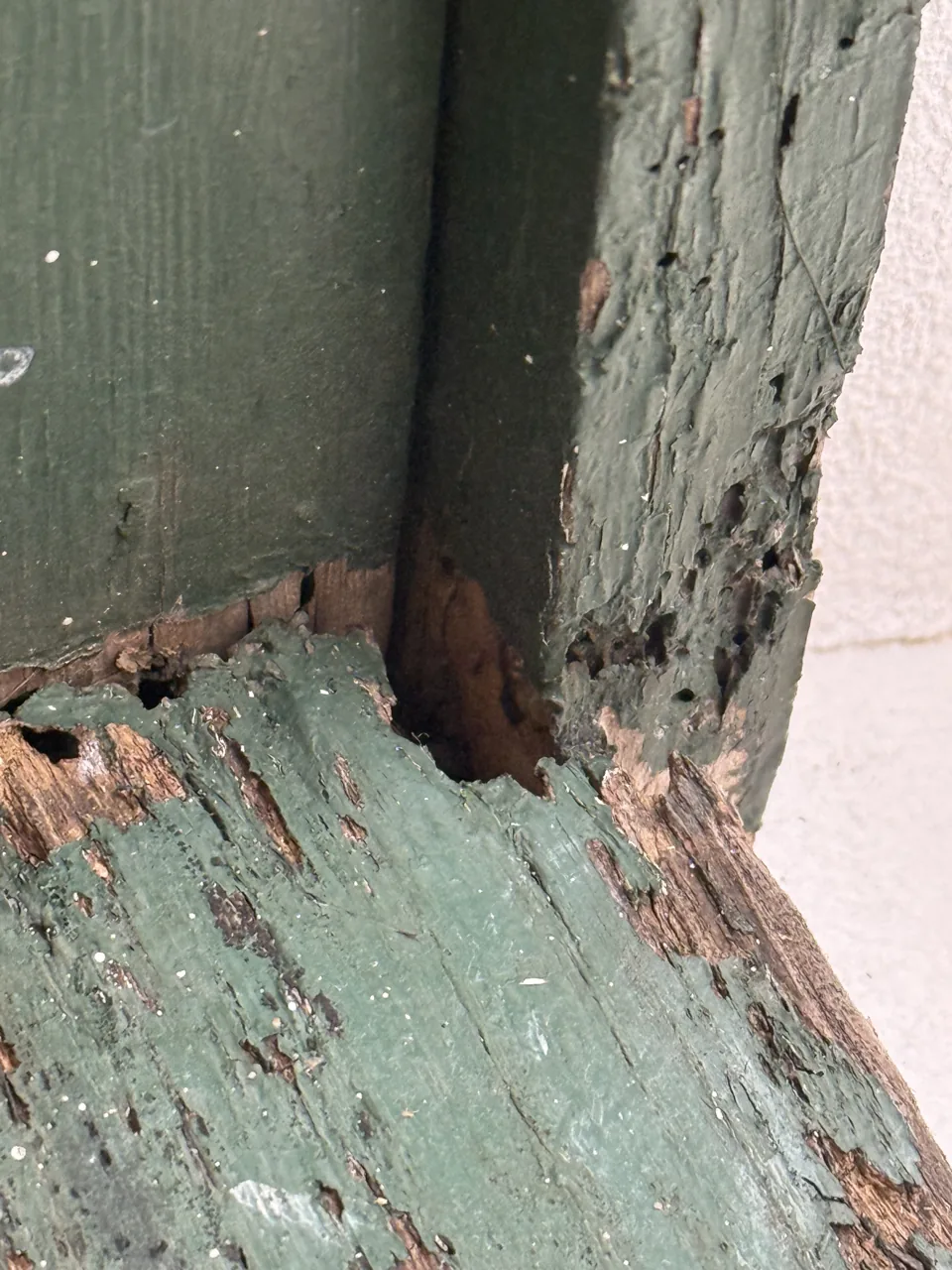 Close-up of peeling, rotting green-painted wood with visible holes and cracks.