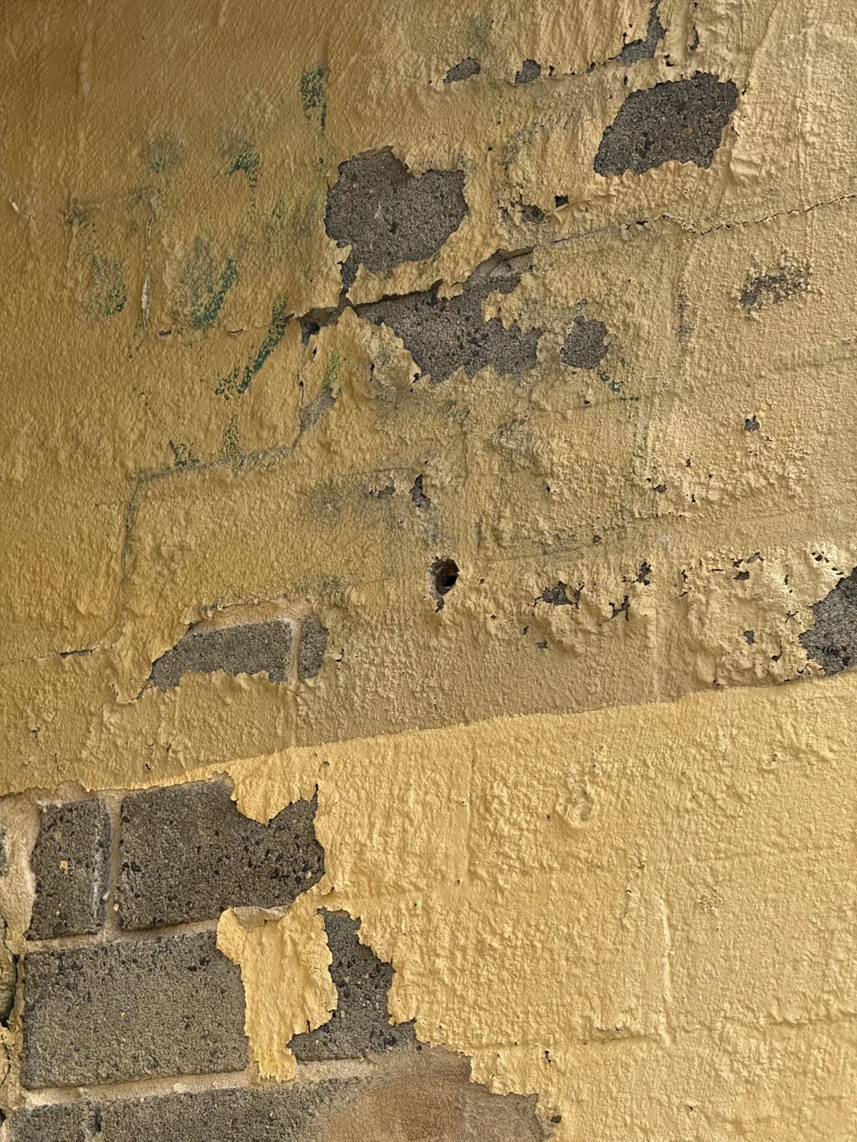 Paint blistering and flaking off blockwork exposing bare blocks and mortar beneath