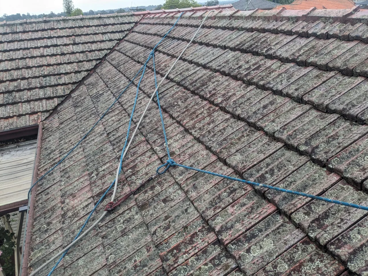 Aged terracotta roof tiles heavily colonised by lichen and moss, with rigging lines run across