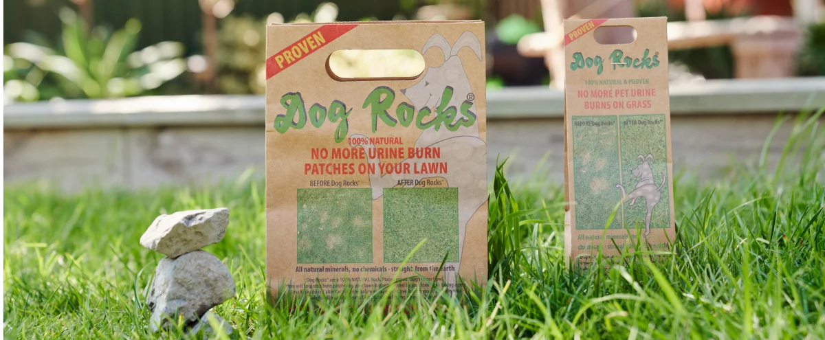 Dog Rocks