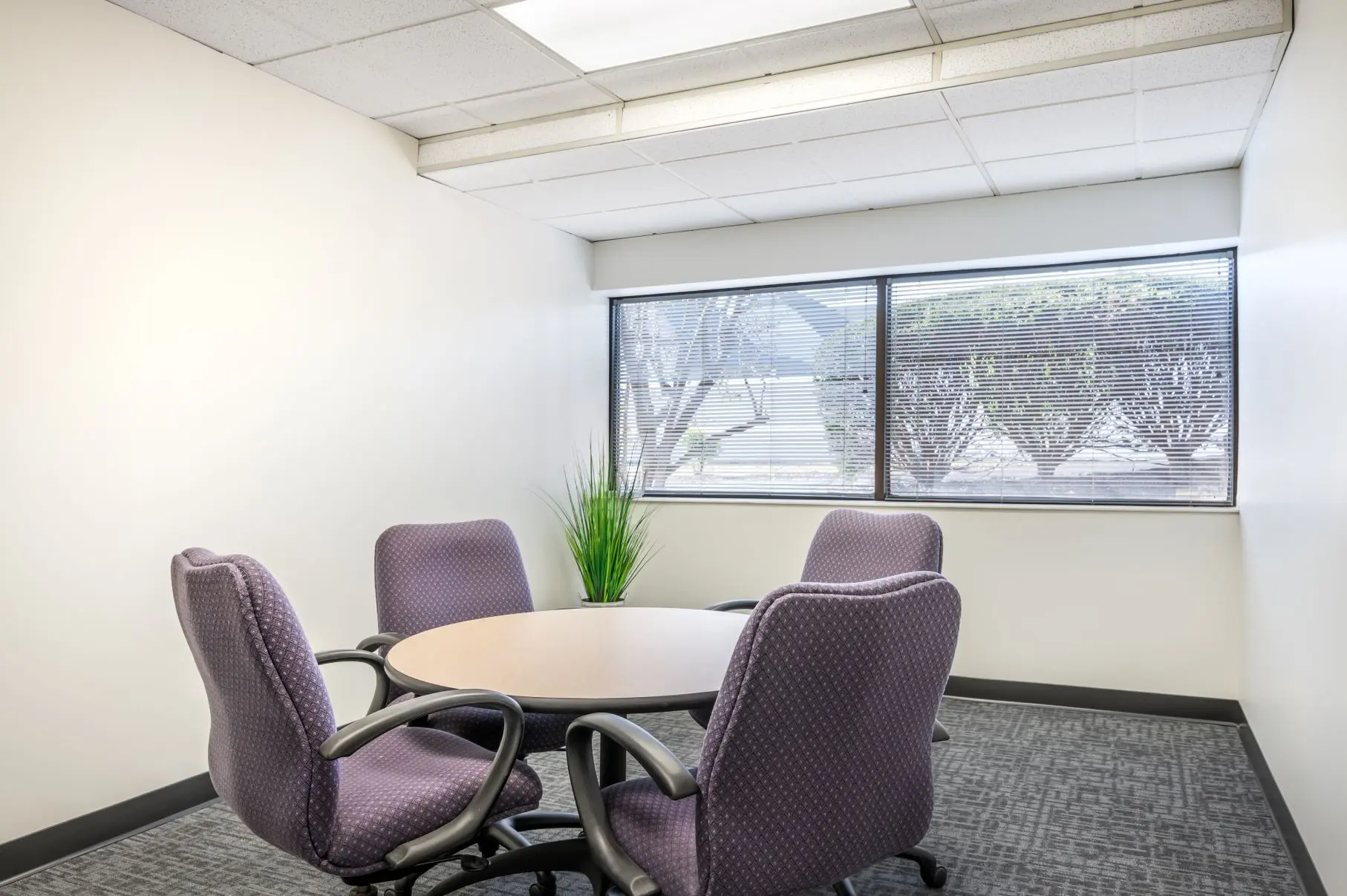 Intimate qualitative research space and focus group layout within the Smale Park suite at L&E Research Cincinnati, ideal for in-depth interviews.