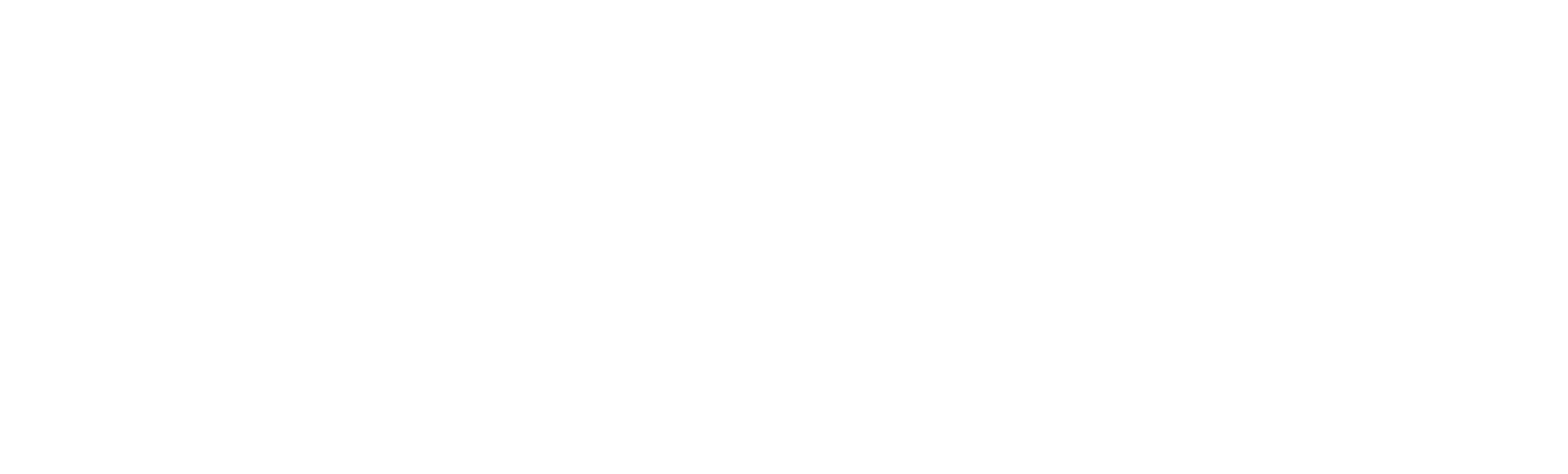 The Skin Report brand logo with the words ‘the SKIN REPORT’ in a stylized serif font and an oval around ‘the SKIN’.