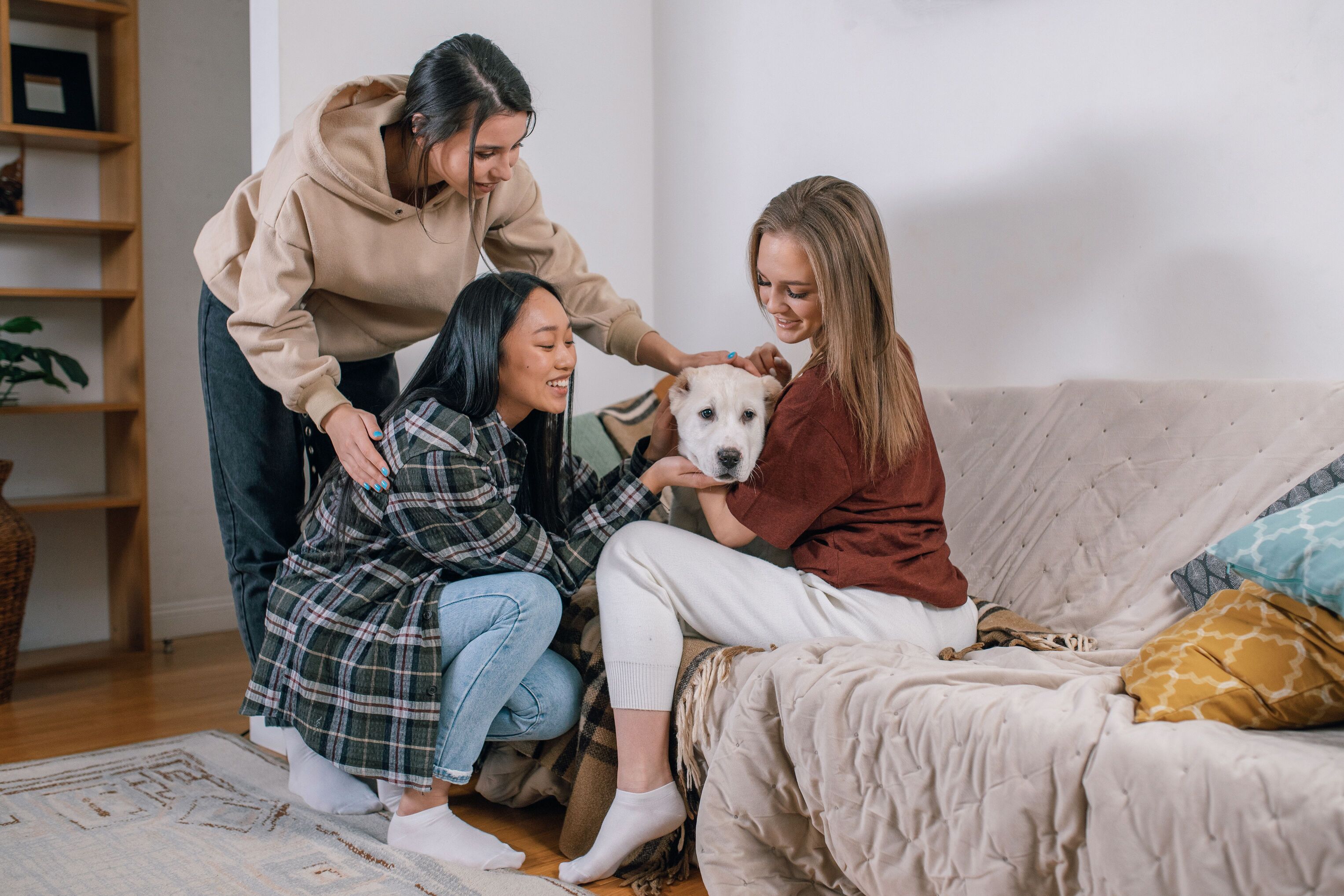 feature-chat-live