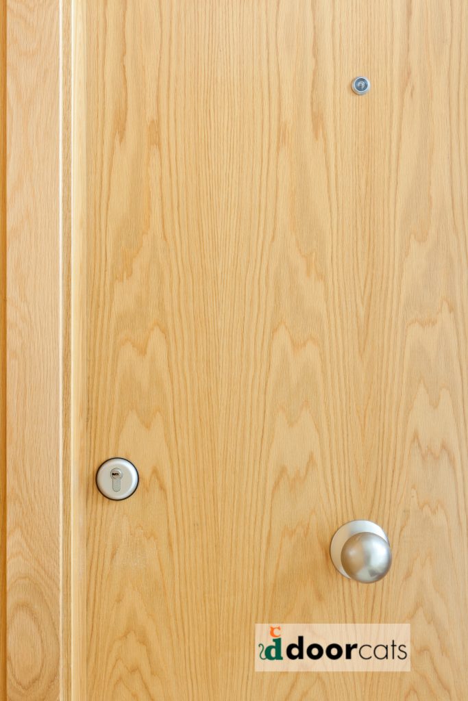 puertas residenciales de madera valladolid 8