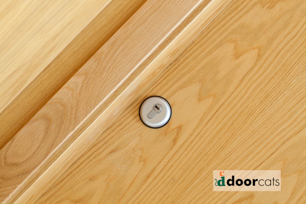 puertas residenciales de madera valladolid 7