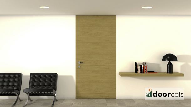 puertas interiores minimalistas valladolid 3