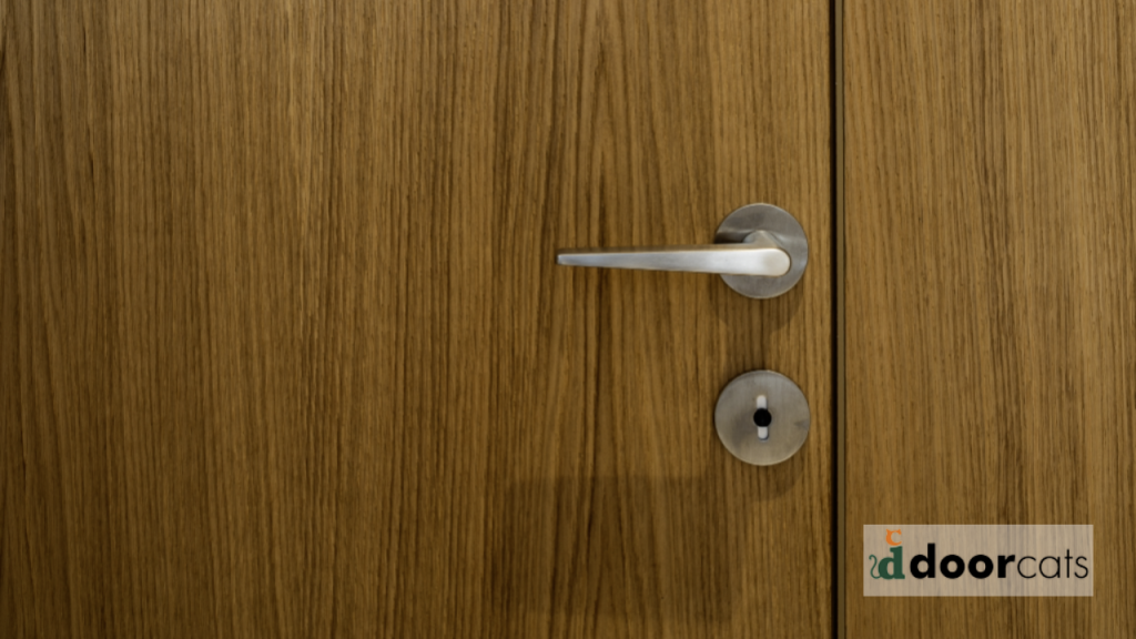 puertas a medida valladolid 17