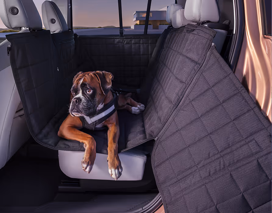 Blick durch die geöffnete hintere Tür auf die Rücksitzbank des Škoda Peaq, die mit einer schwarzen, gesteppten Schutzdecke ausgekleidet ist. Auf der Decke liegt ein brauner Boxer, der ein spezielles Brustgeschirr trägt. Die großflächige Matte schützt die hellen Sitzpolster, die Rückseiten der Vordersitze und die seitlichen Einstiegsbereiche effektiv vor Schmutz und Kratzern.