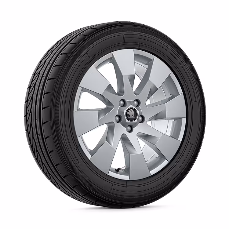 Ein freigestellter Reifen mit 19 Zoll Leichtmetallfelge "Elba silber".