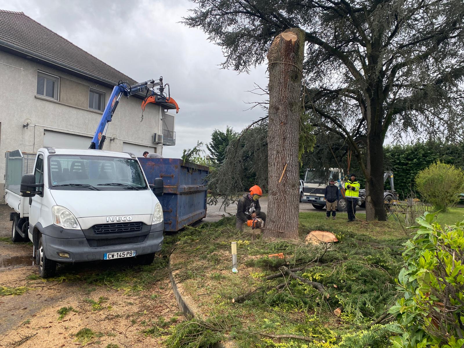 Abattage d'arbre au camion-grue