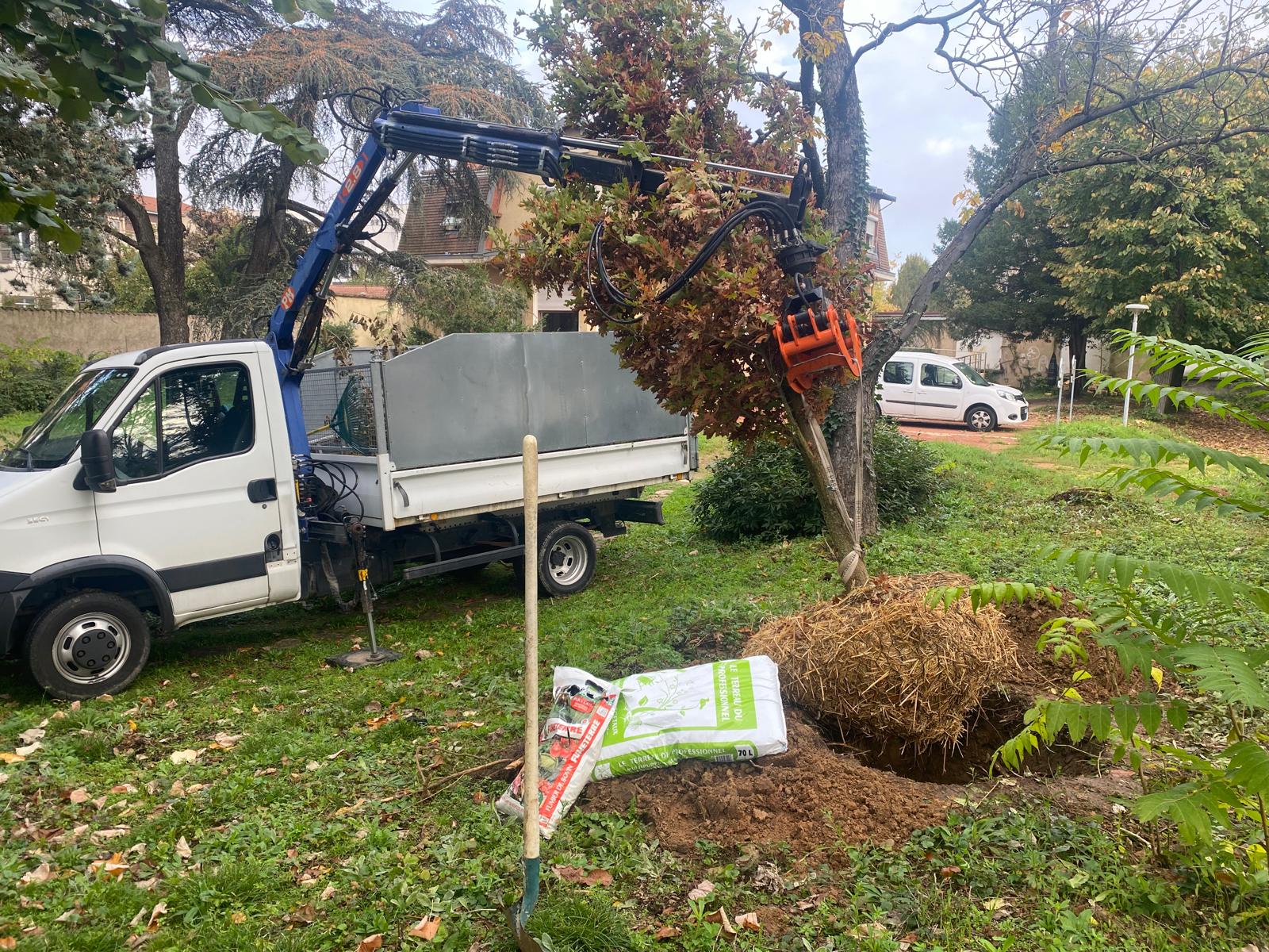 Camion-grue pour interventions complexes à Lyon, Artisan Buche