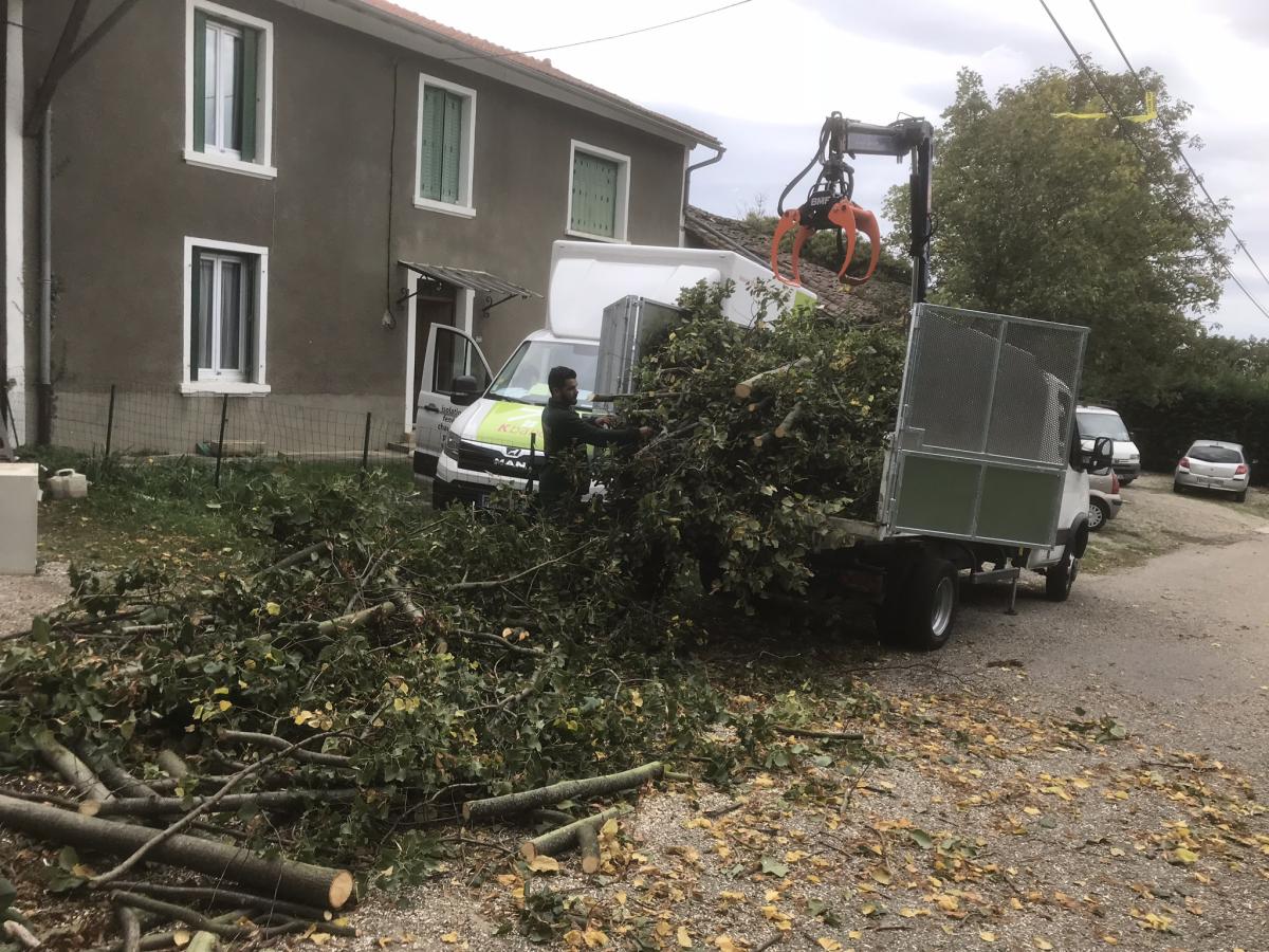 Évacuation des branchages après abattage