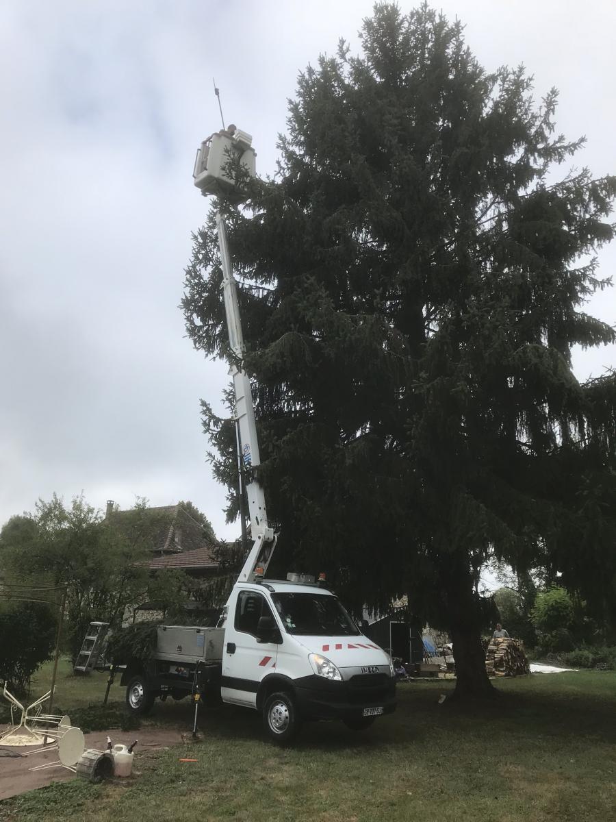 Élagage d'un grand arbre à la nacelle