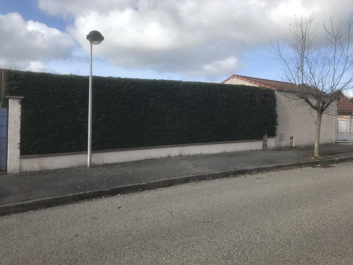 Haie taillée, chantier terminé