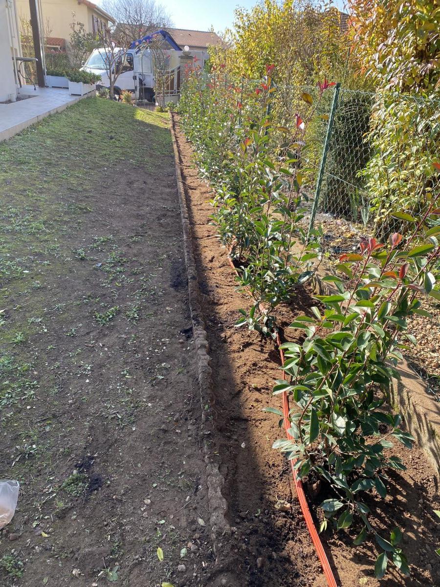 Terrain avant création de la bordure de jardin