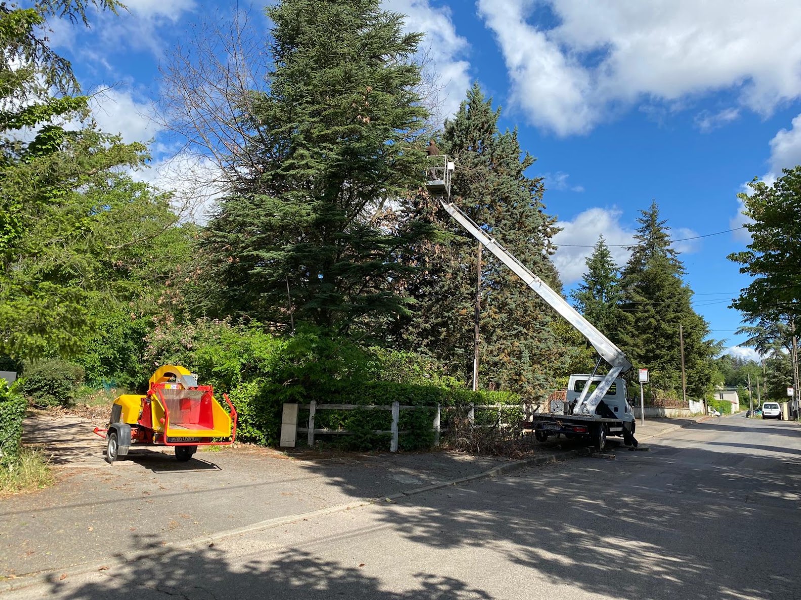 Taille de branches en hauteur avec nacelle, intervention Artisan Buche