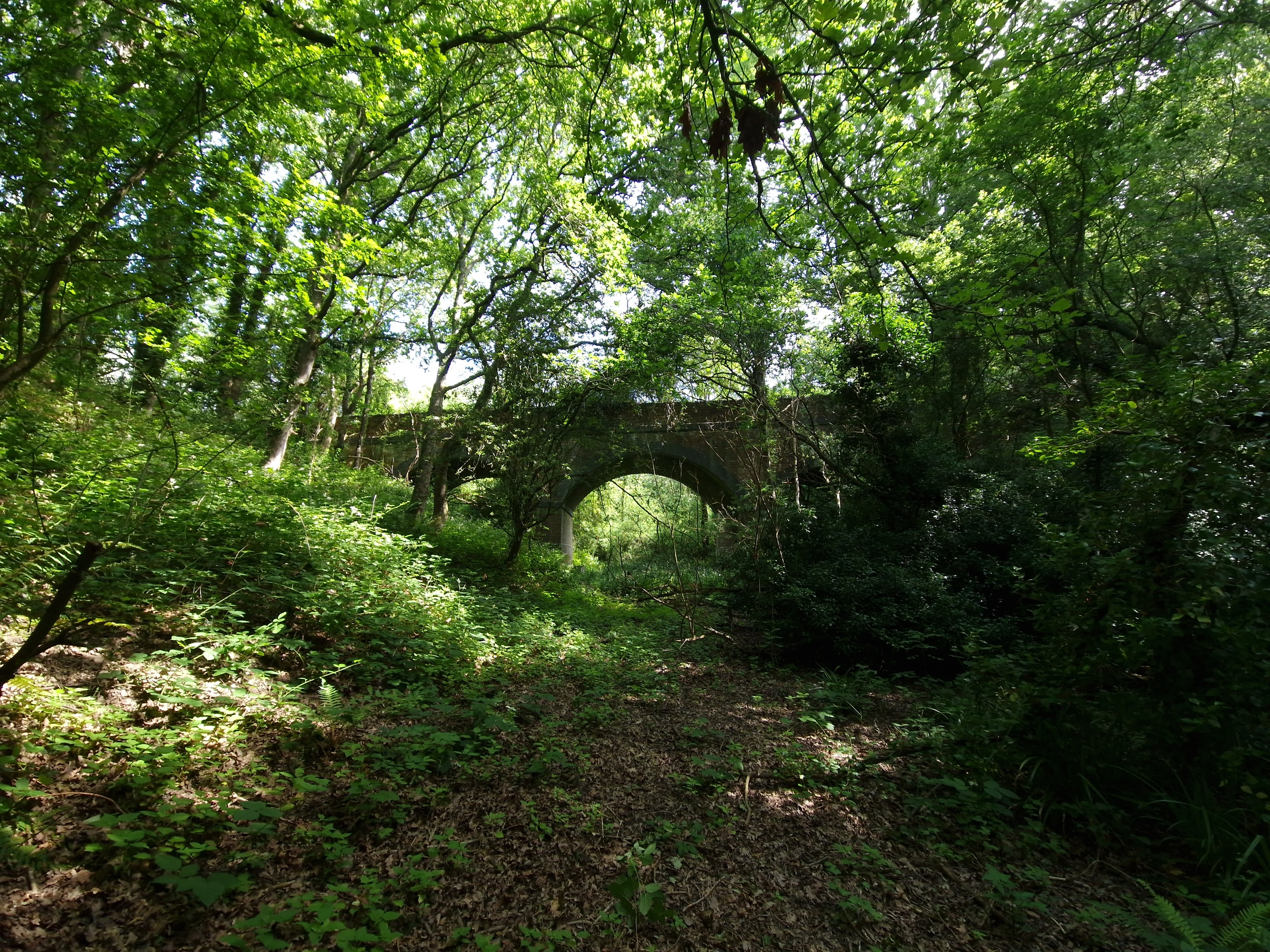 Stone arch bridge surrounded by dense green foliage and trees in a forest setting.