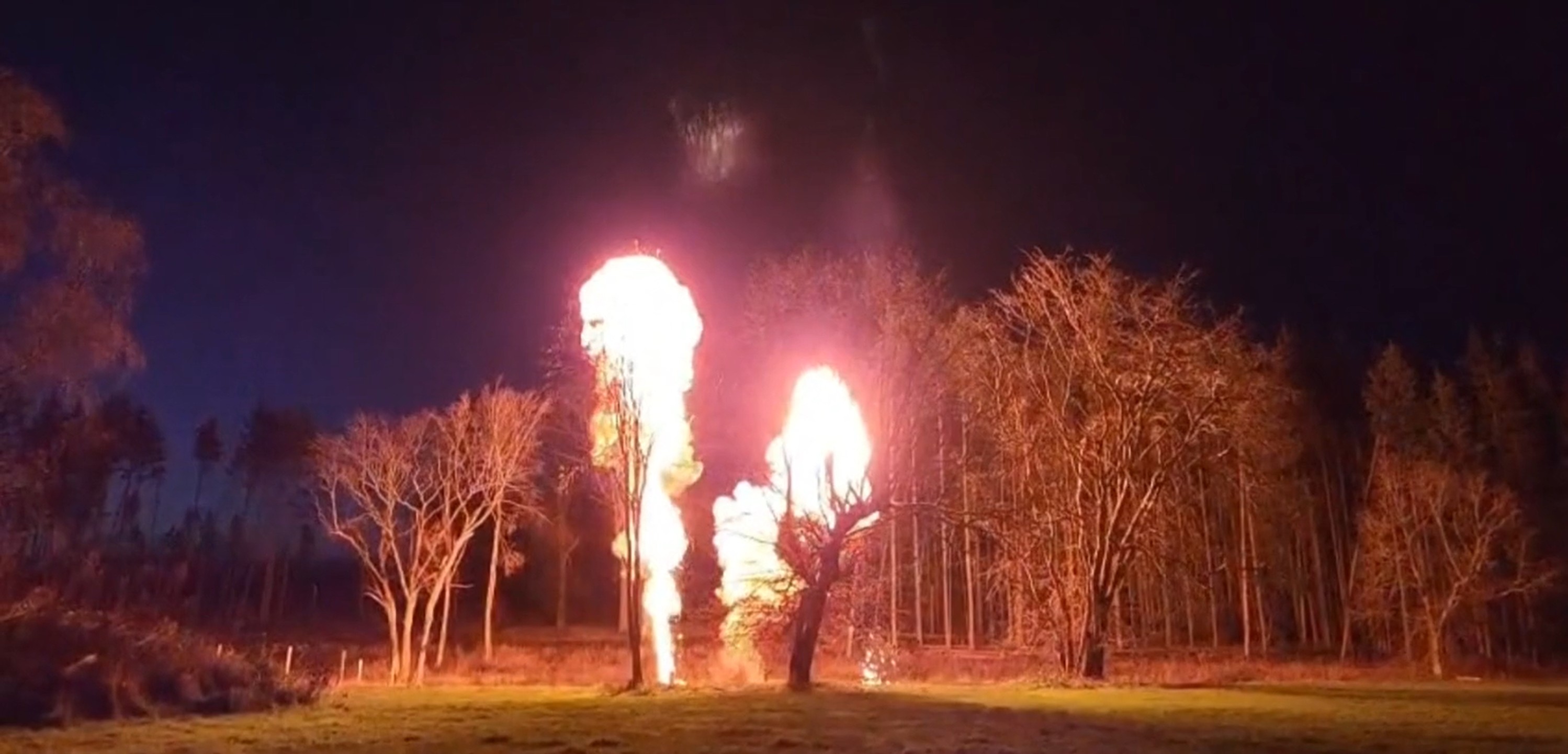 Two bright fire explosions erupting among leafless trees in a dark wooded area at night.
