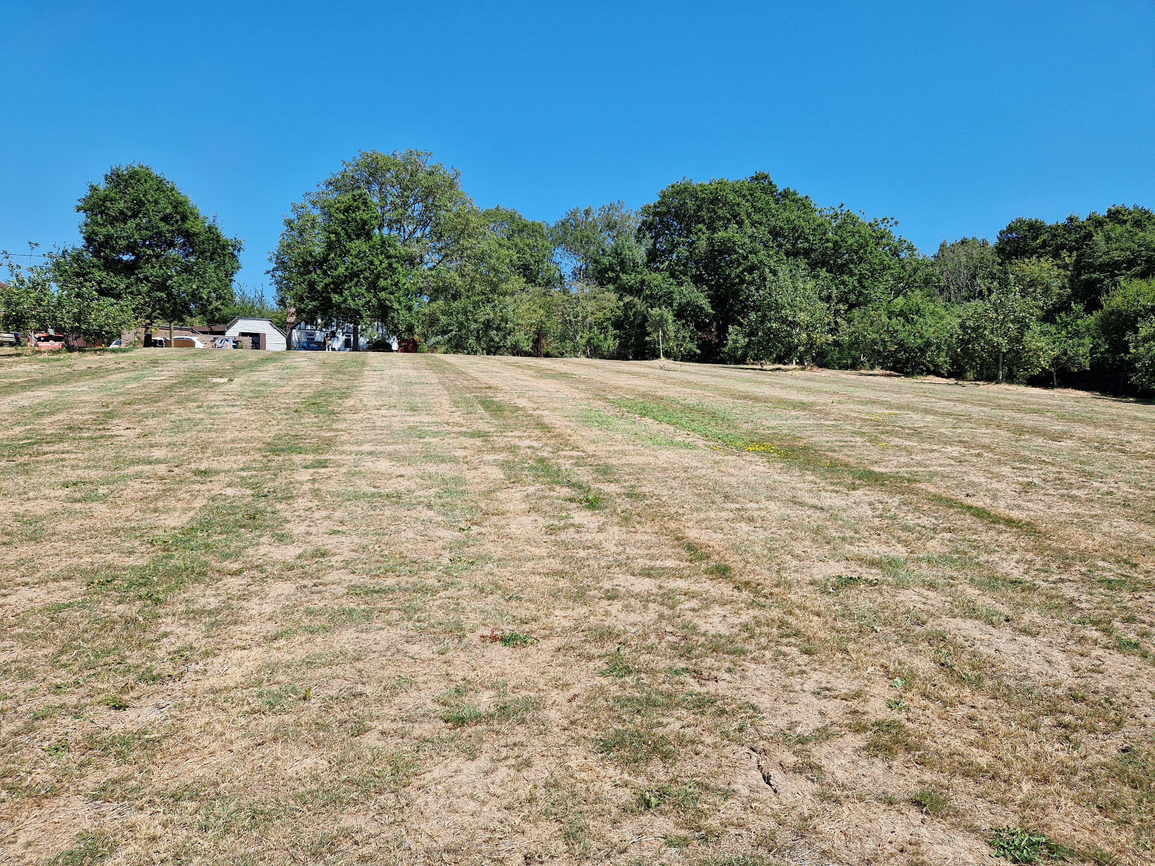Wide mowed grassy field with patchy dry spots and green trees under a clear blue sky.