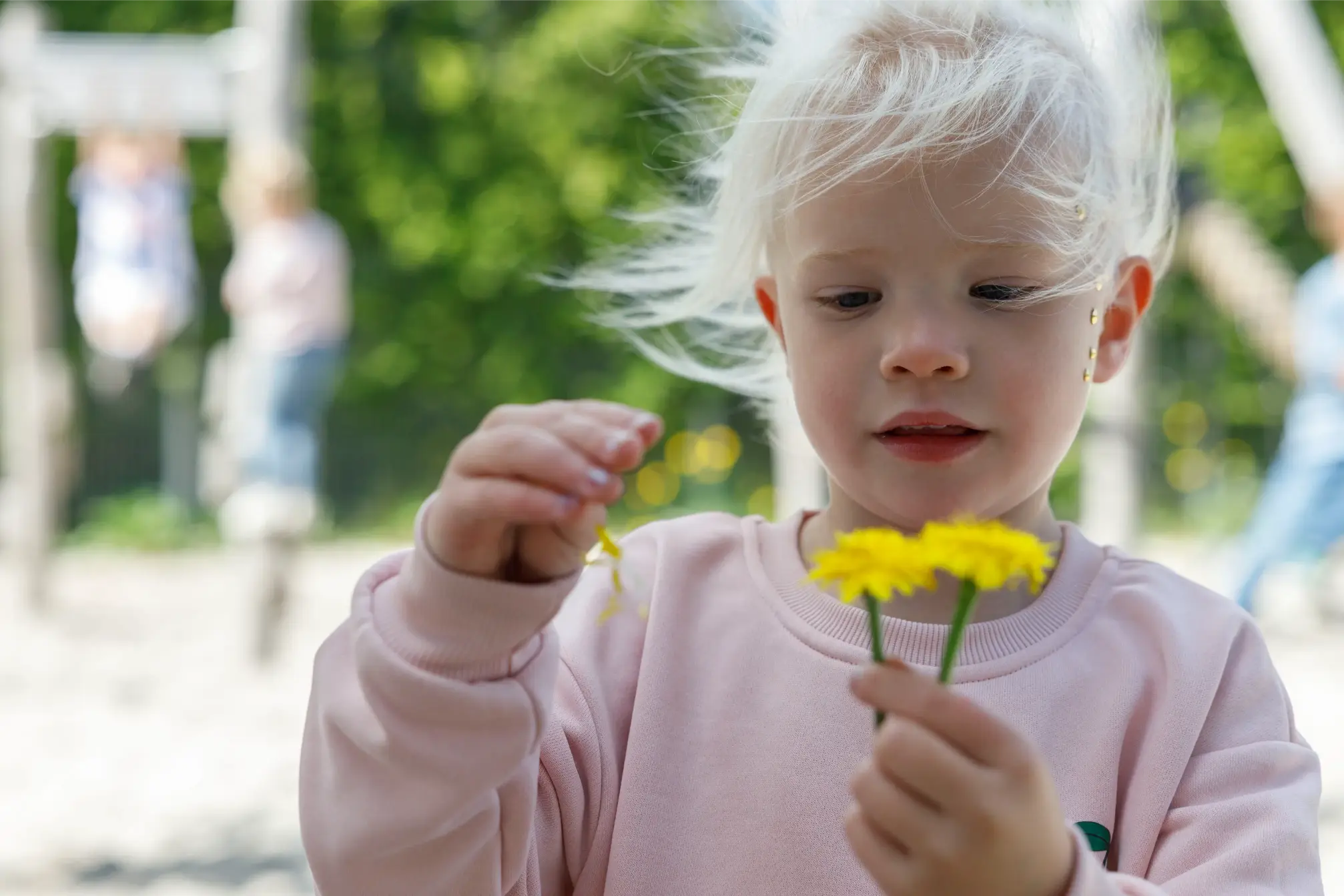 Klein blond meisje in een roze trui onderzoekt gele bloemen buiten op een zonnige dag.