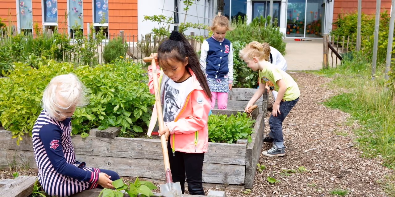 Kinderen die in een schooltuin werken met planten en een schop in een verhoogde houten bak.