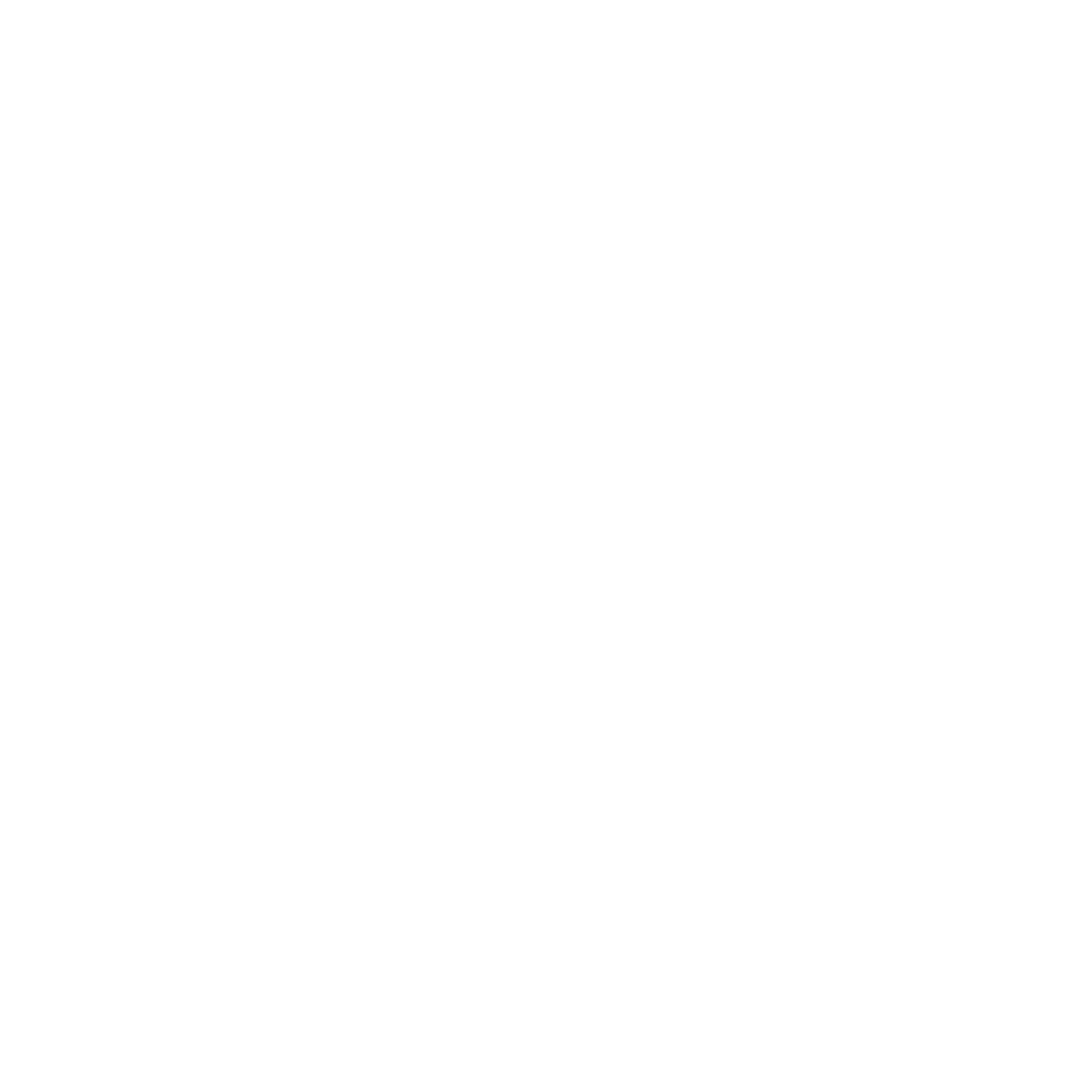 Brnad Logo