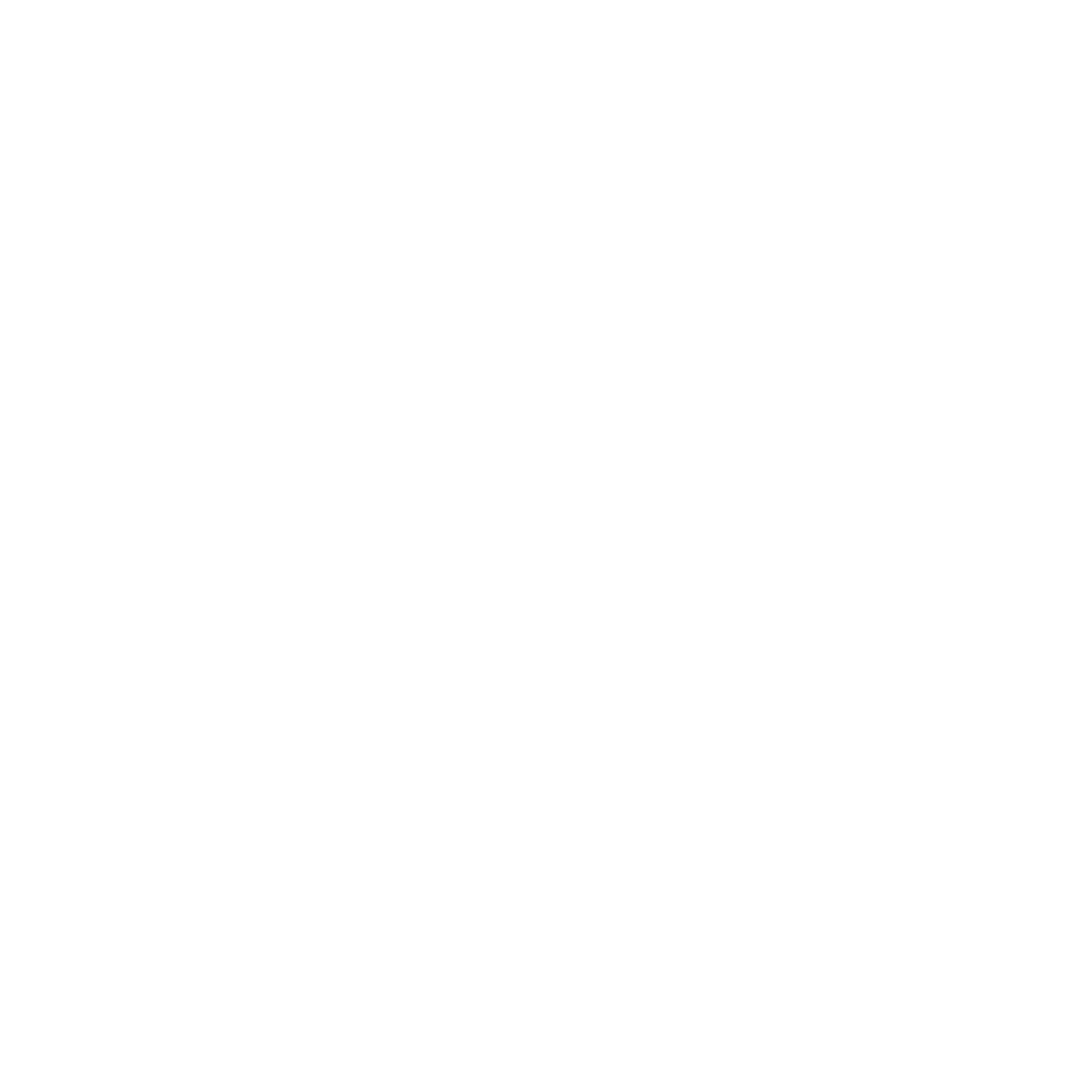 Brnad Logo