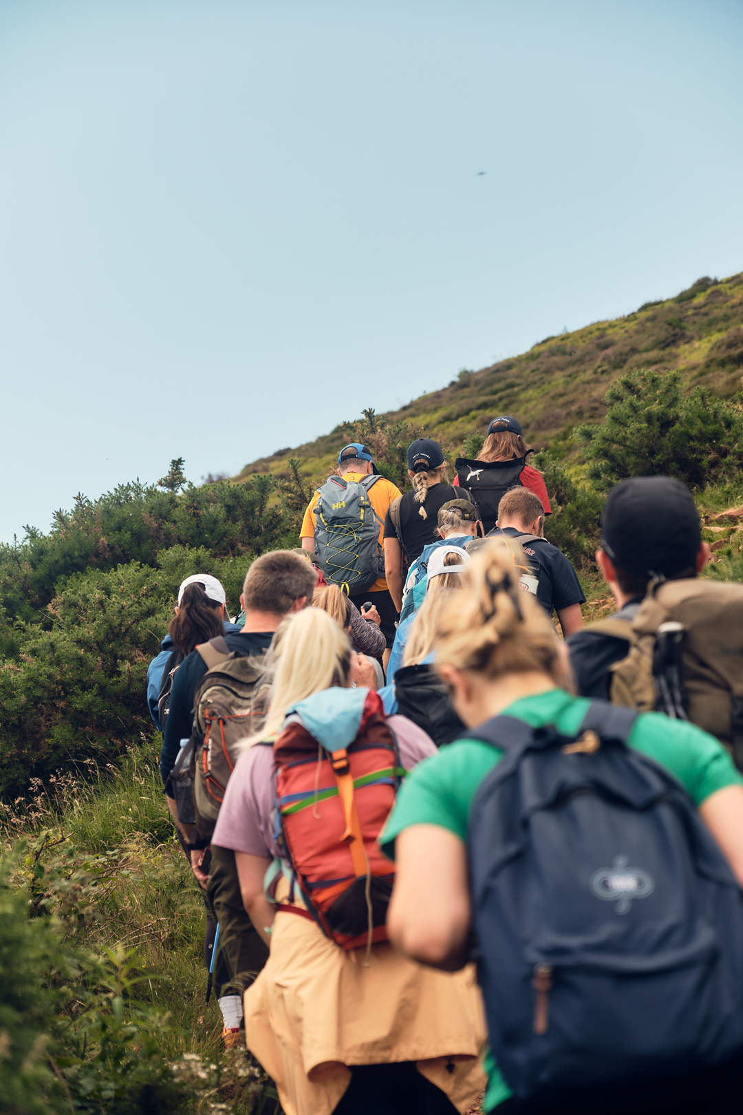 Group of hikers with backpacks walking uphill on a green trail under a clear sky.