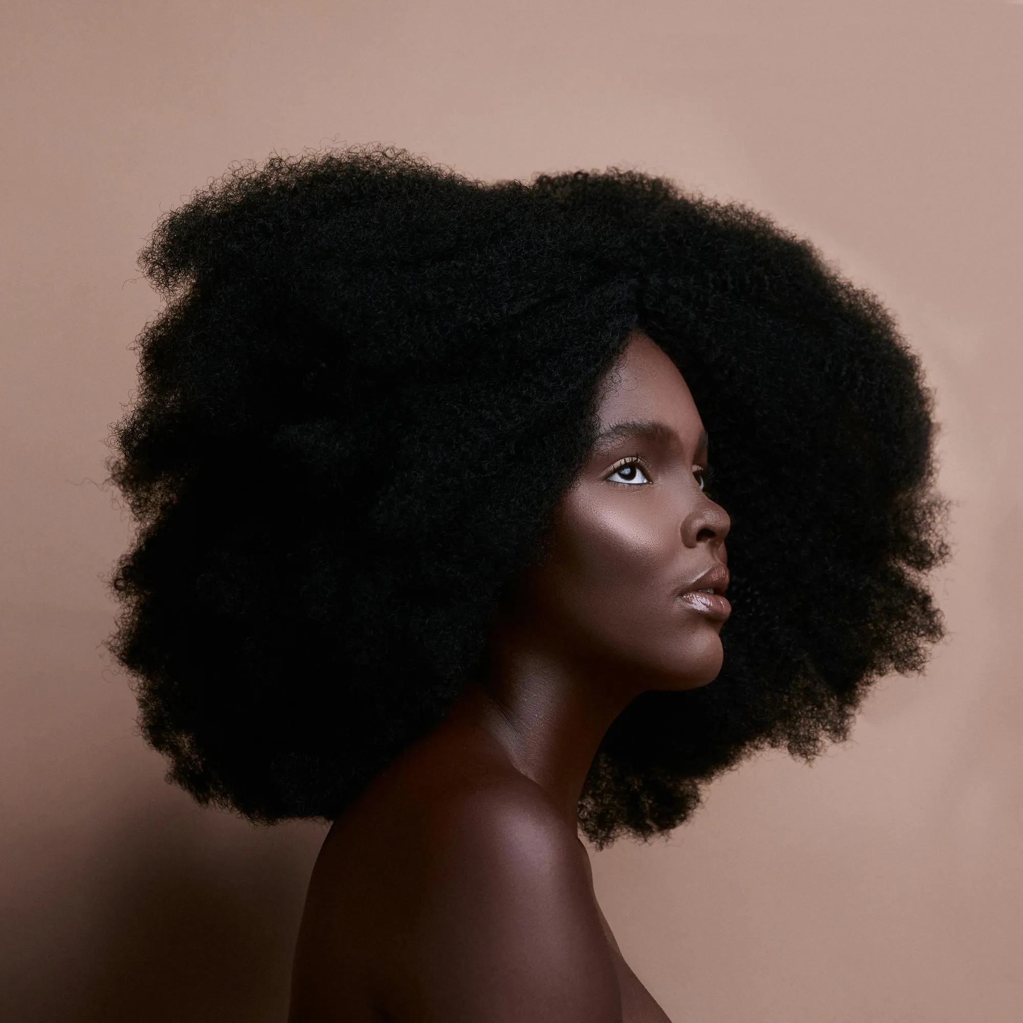Profile of a dark-skinned woman with voluminous natural afro hair against a plain beige background.