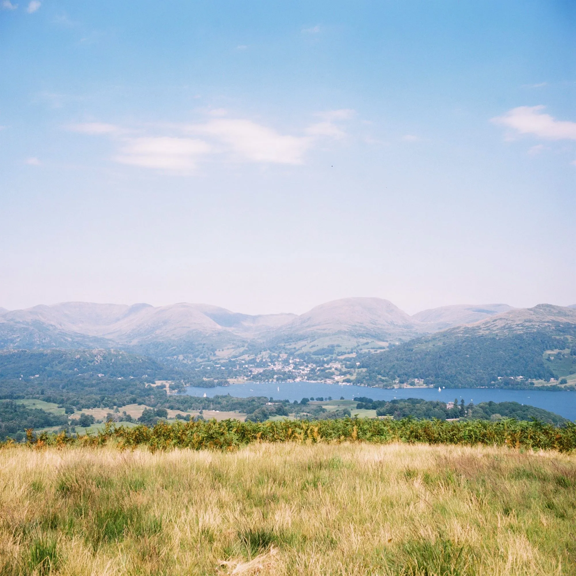 Grassy field with green bushes, distant lake, town by shore, and mountains under blue sky.