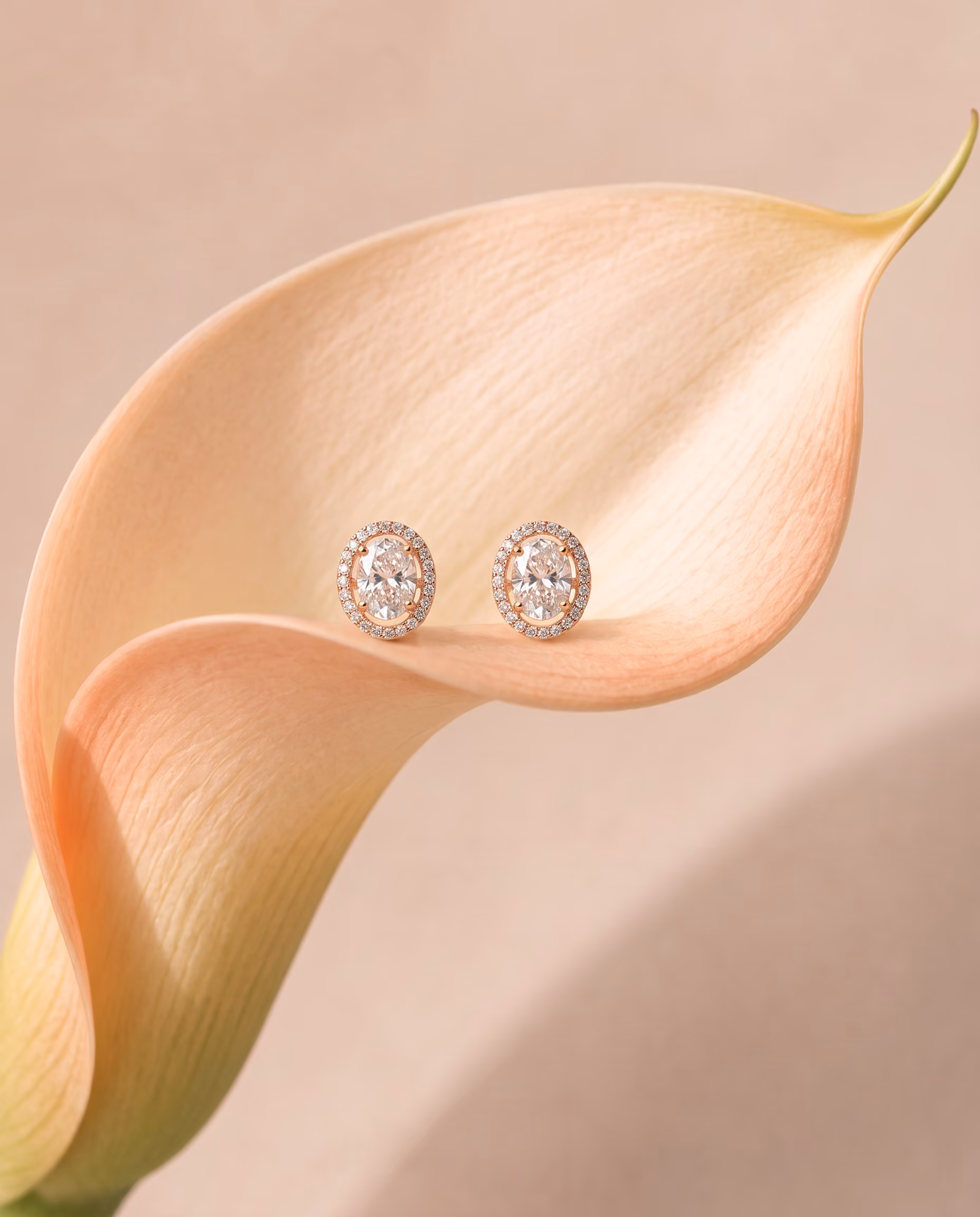 Oval diamond halo stud earrings placed on a peach calla lily flower.
