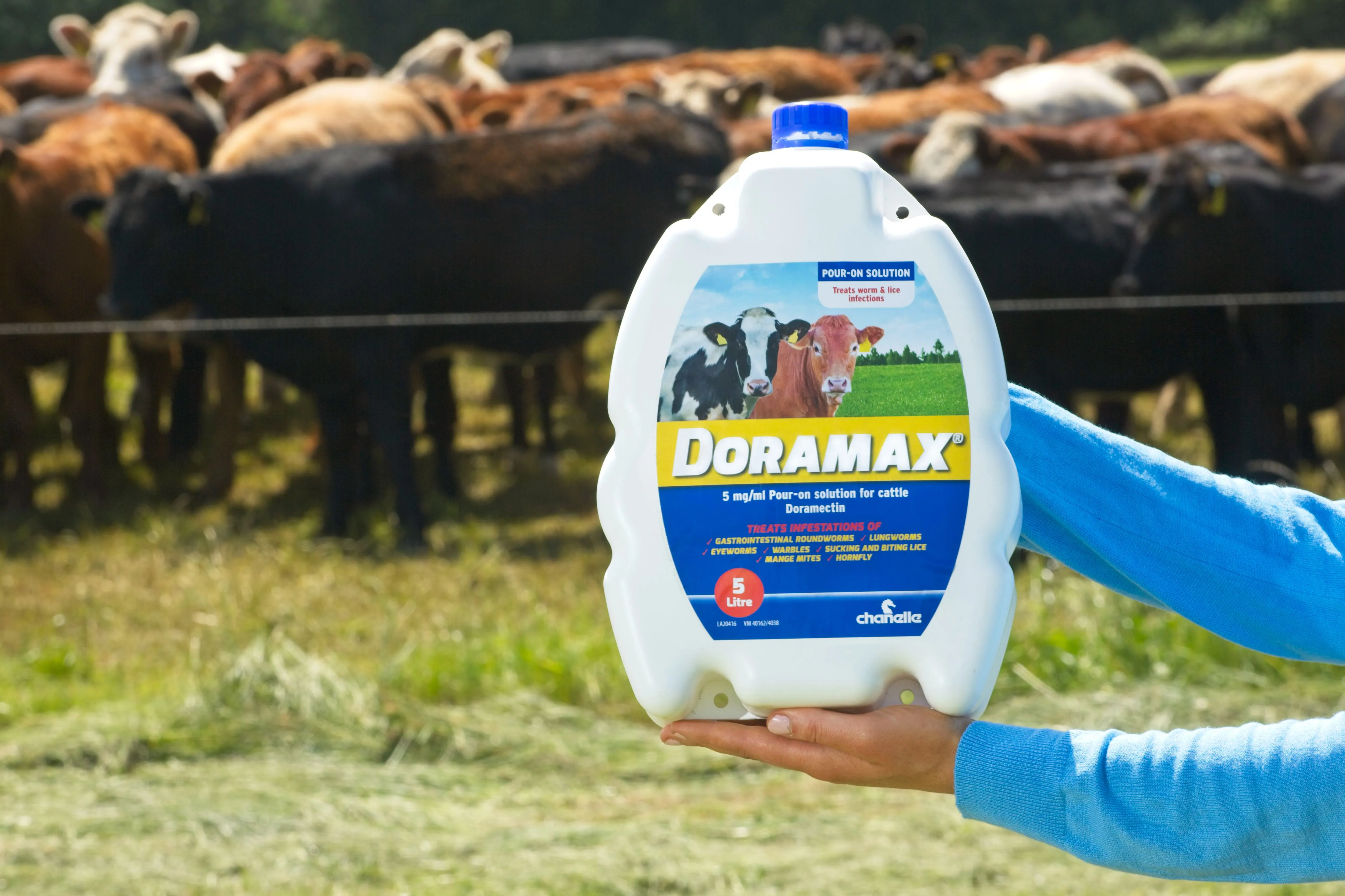 Introducing Doramax® Pour-on
