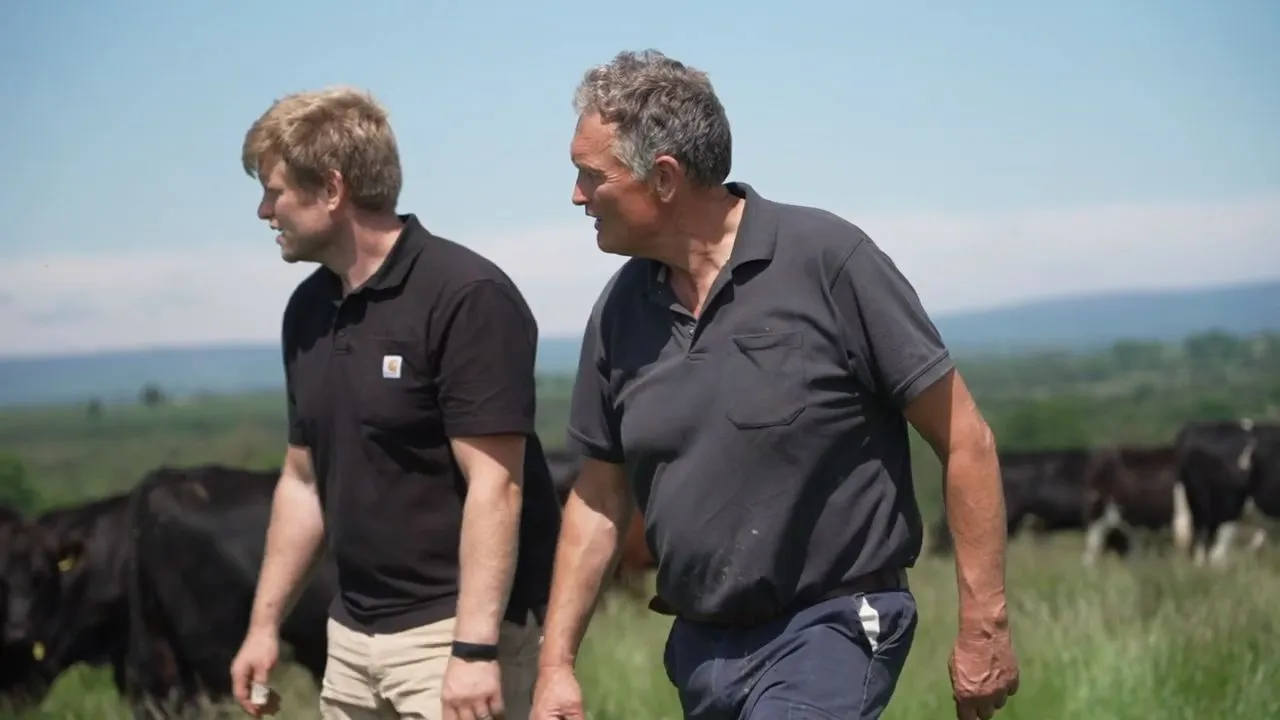 Using Doramax® on Beef and Suckler farms