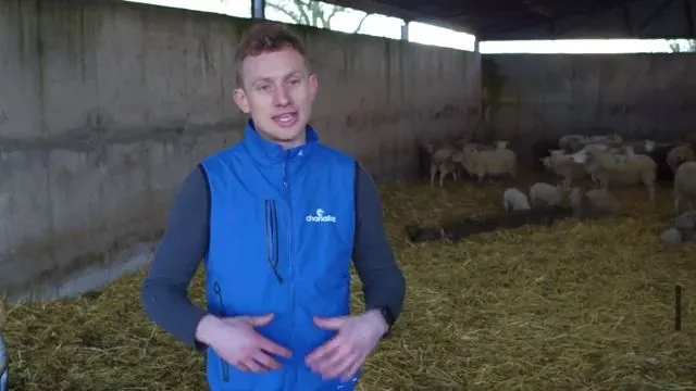 What is coccidiosis?