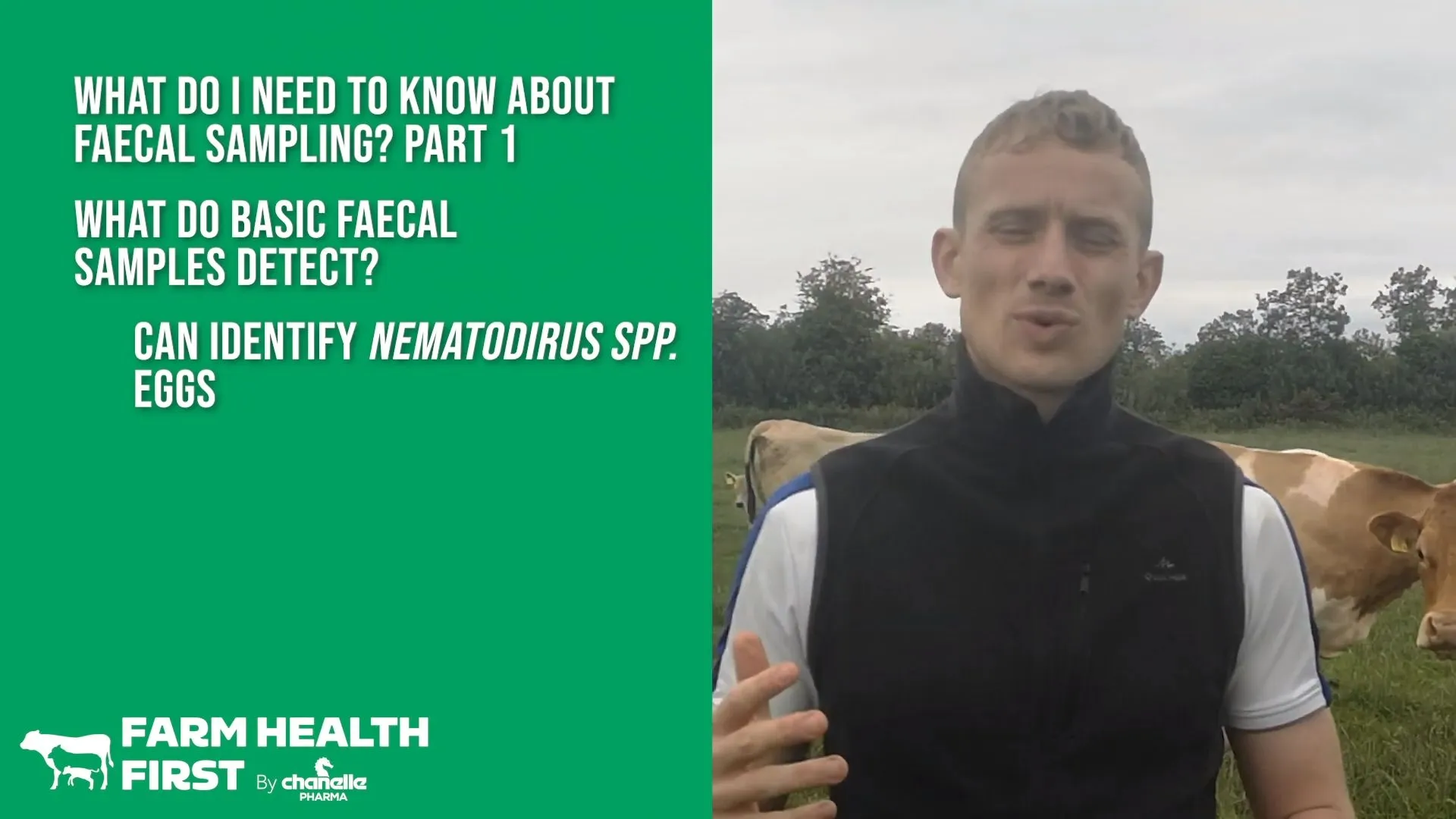 What Should You Know About Faecal Sampling - Part 1