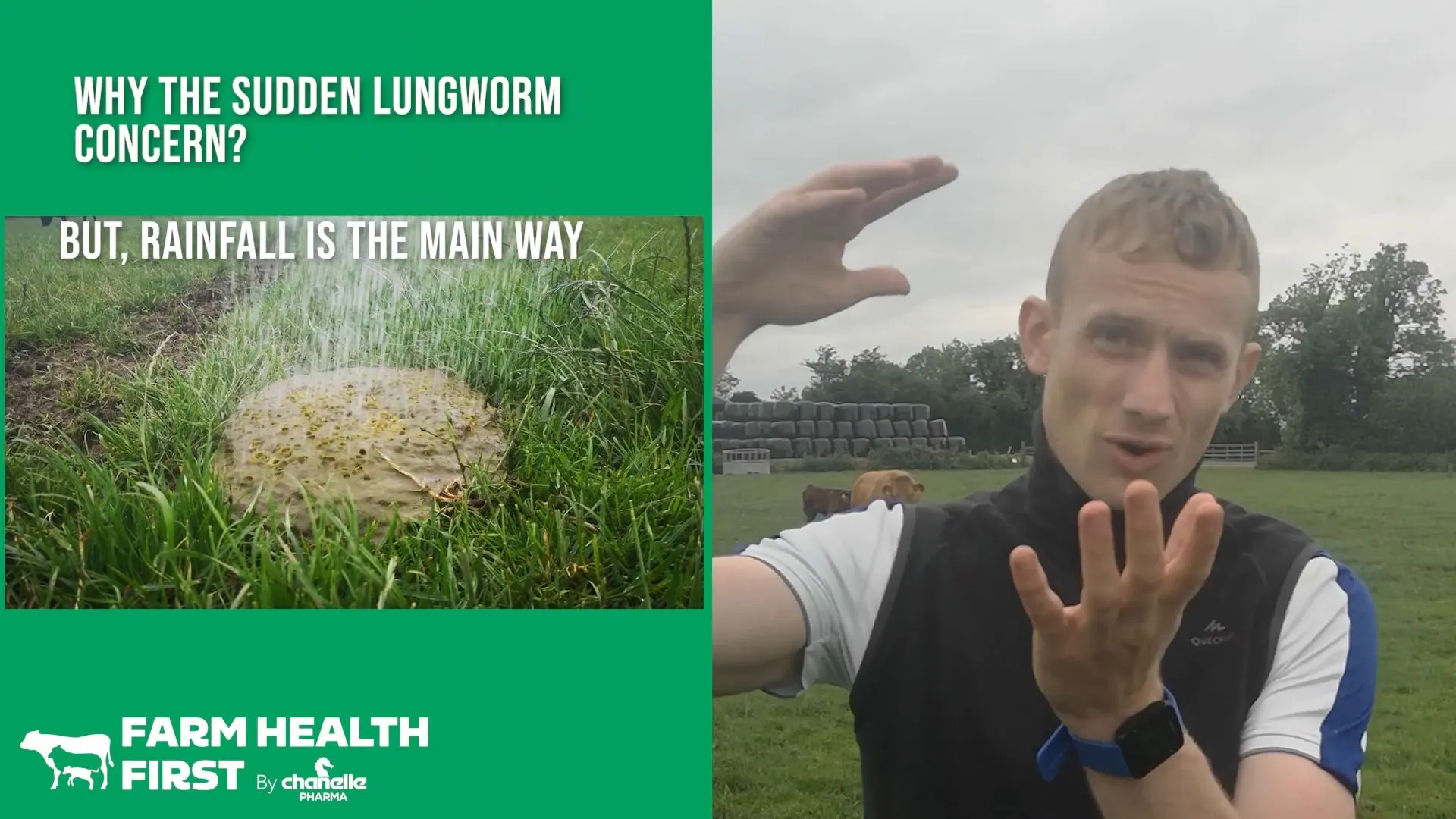 Why the Sudden Concern About Lungworm?