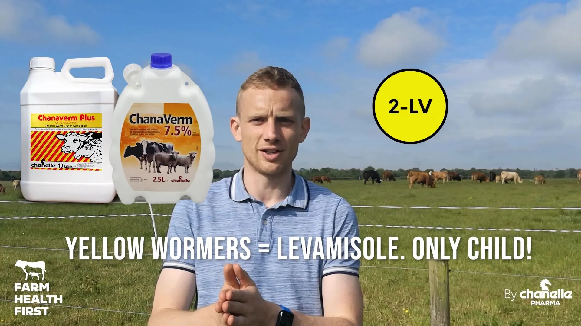 Wormer Classes for Cattle and Sheep - Understanding the Basics