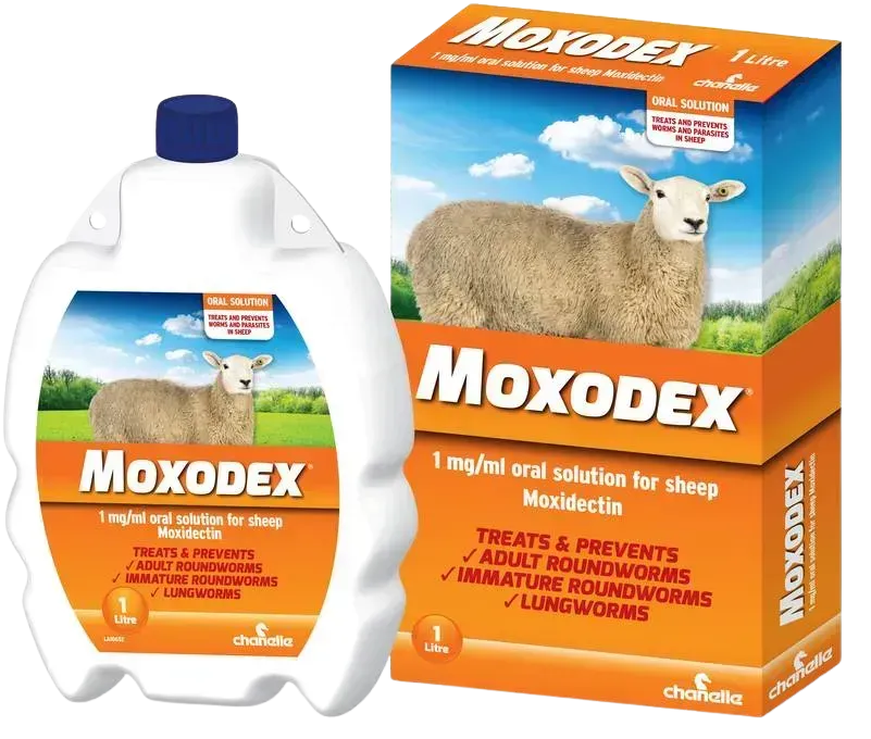 Moxodex Oral