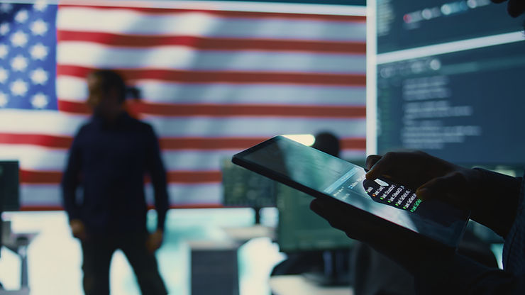 Cybersecurity Expert Governmental
